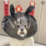 就是嘎嘎乐