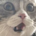 eeemmm