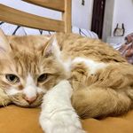 maggie_0e1o