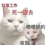 懒狗小邓